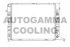 OPEL 1300127 Radiator, engine cooling